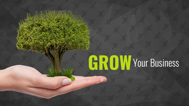 small business loan support